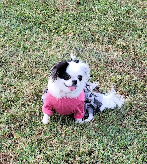 Banfield Pet Hospital Picture 4