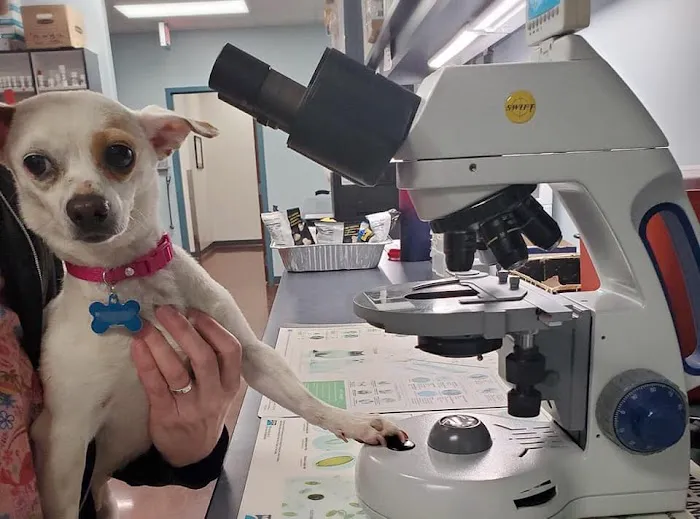 Firetower Animal Clinic Picture 10