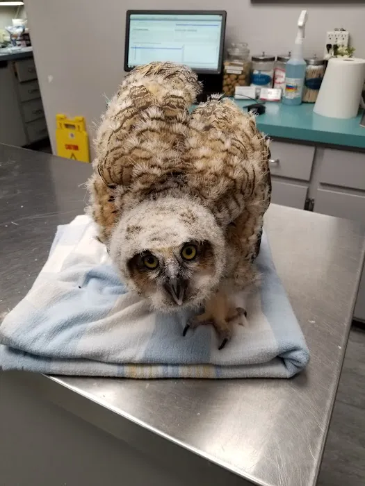 Warwick Animal Hospital Picture 9