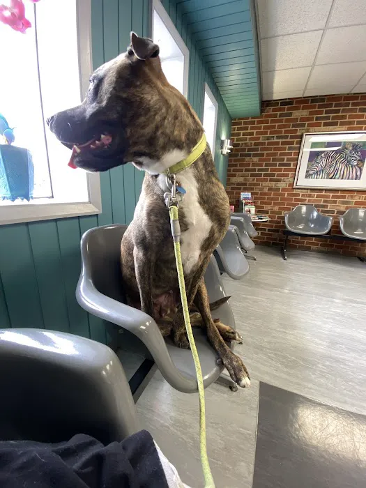 Warwick Animal Hospital Picture 8