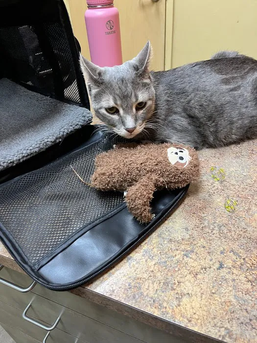 Kyle Veterinary Hospital Picture 1