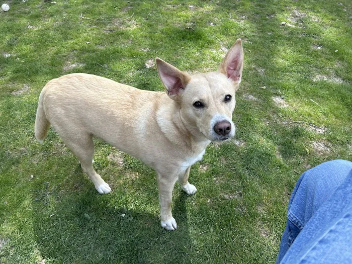 Kyle Veterinary Hospital Picture 9
