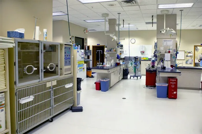 Care Center Cincinnati Picture 9