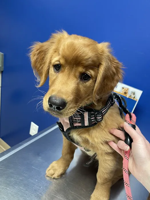 Noah's Ark Animal Clinic of West Chester Picture 8