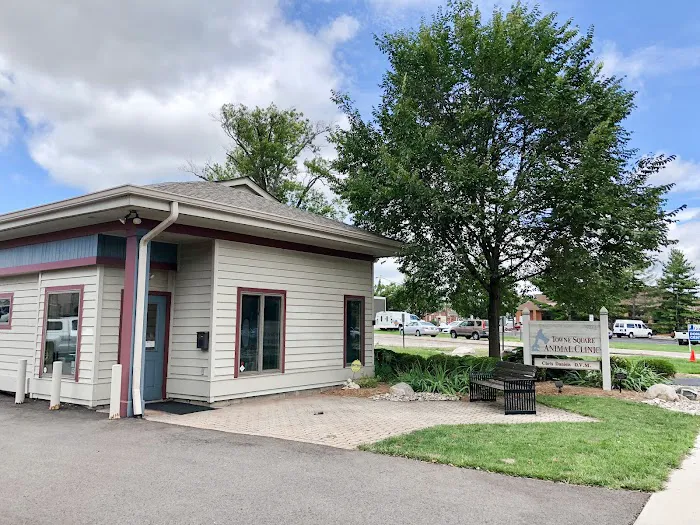 Towne Square Animal Clinic Picture 2