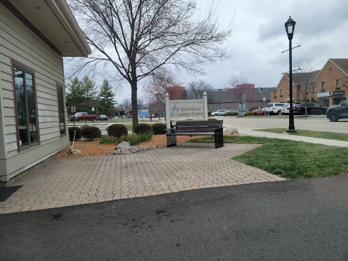 Towne Square Animal Clinic Picture 1