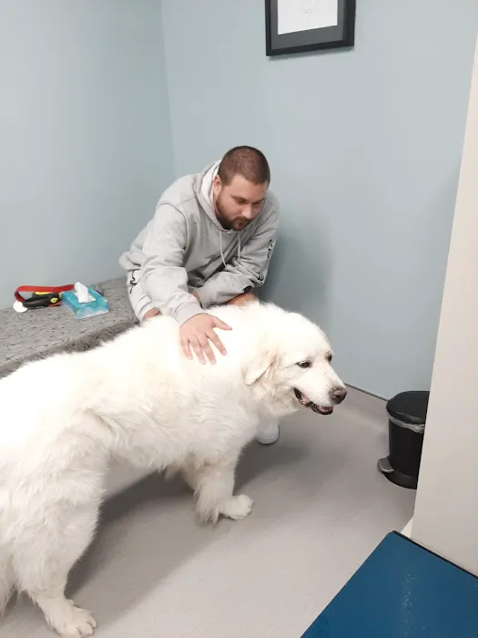 Mission Vet Urgent Care - Blue Ash Picture 5