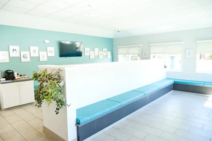 Mission Vet Urgent Care - Blue Ash Picture 4
