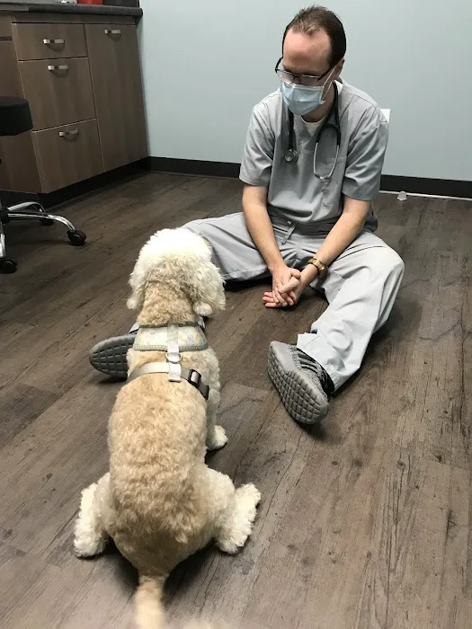 Whiskers and Paws Animal Hospital Picture 3