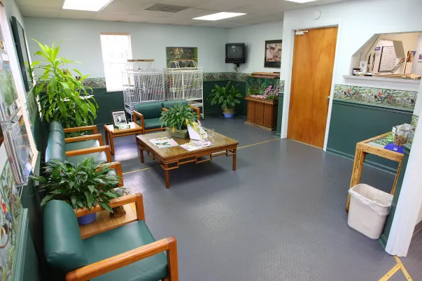 PetCare Animal Hospital Picture 4