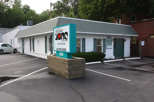 PetCare Animal Hospital Picture 3