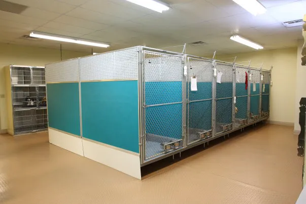 PetCare Animal Hospital Picture 7