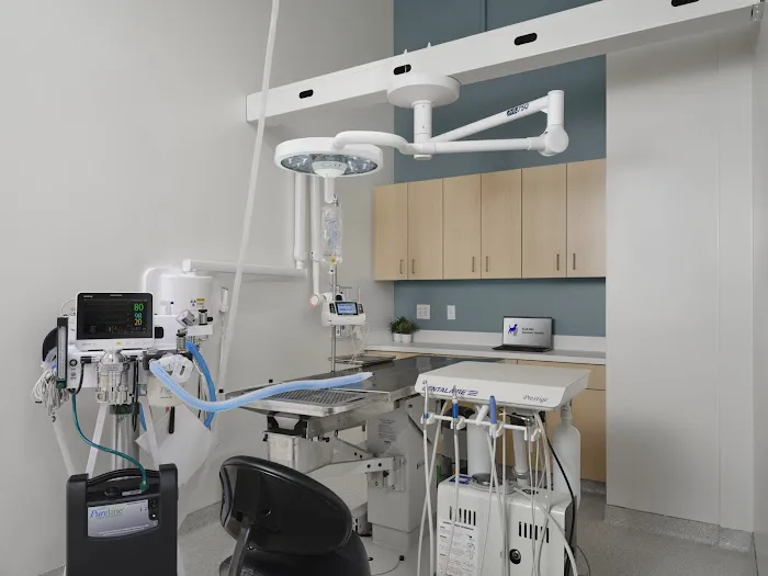 Blue Ash Veterinary Hospital Picture 2