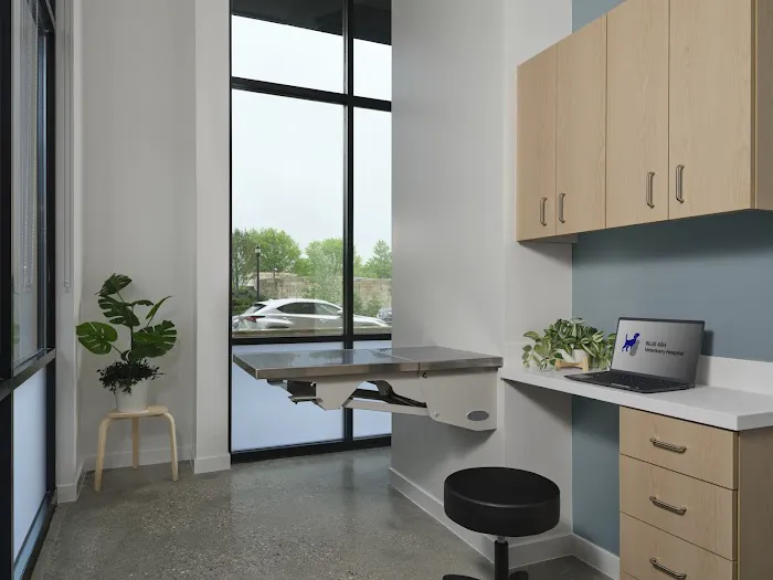 Blue Ash Veterinary Hospital Picture 3