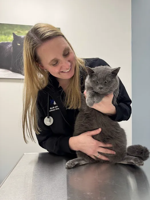 Blue Ash Veterinary Hospital Picture 6