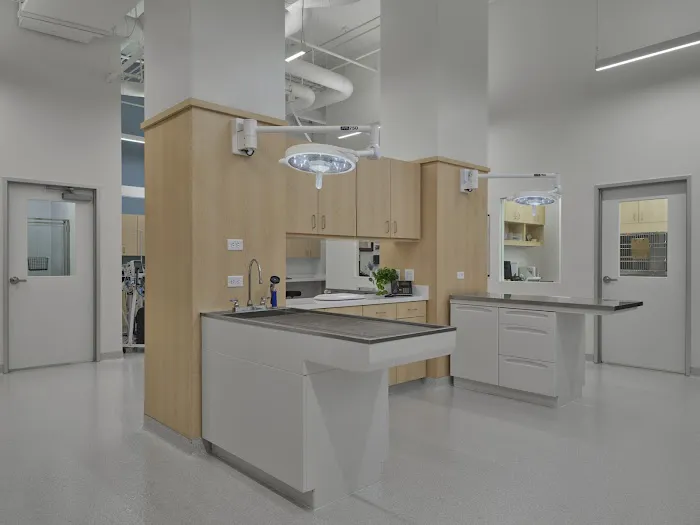 Blue Ash Veterinary Hospital Picture 9