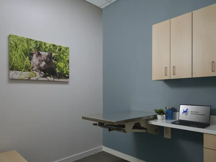 Blue Ash Veterinary Hospital Picture 8