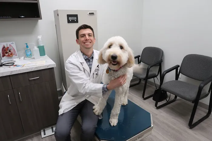 Heineke Veterinary Hospital Picture 6
