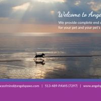 Angel's Paws ico