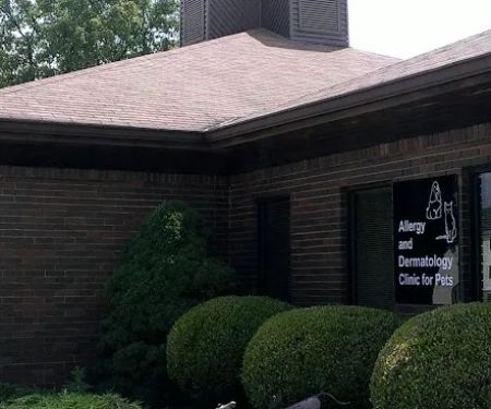 Veterinary Dermatology Services