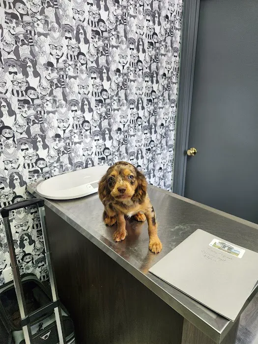 Animal Hospital of Millersburg Picture 1