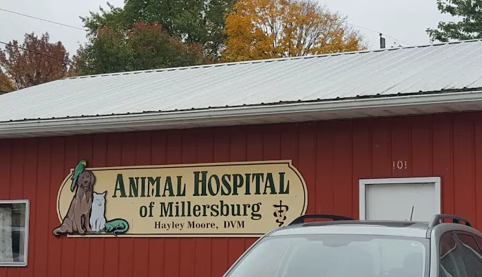 Animal Hospital of Millersburg Picture 3