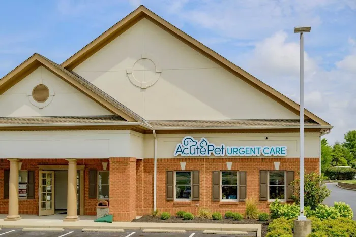 AcutePet West Chester Ohio Picture 2