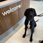 AcutePet West Chester Ohio
