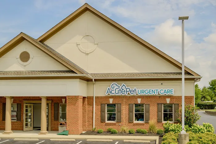 AcutePet West Chester Ohio Picture 3