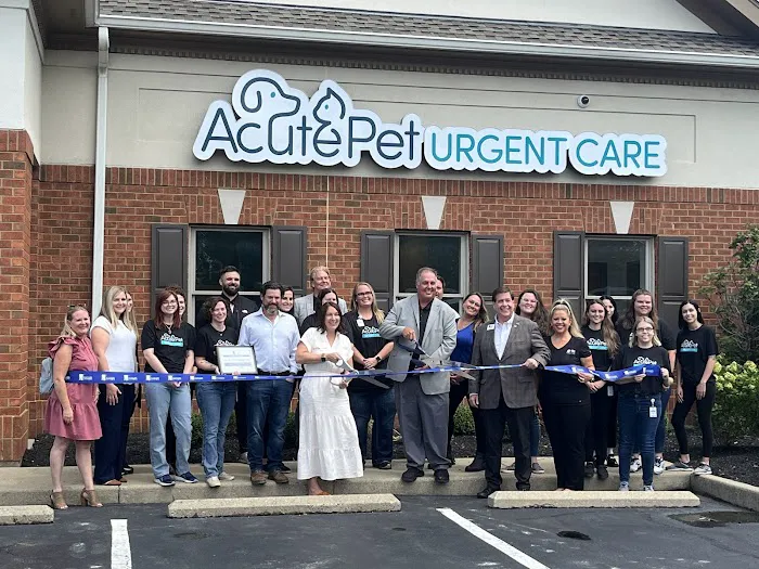 AcutePet West Chester Ohio Picture 10