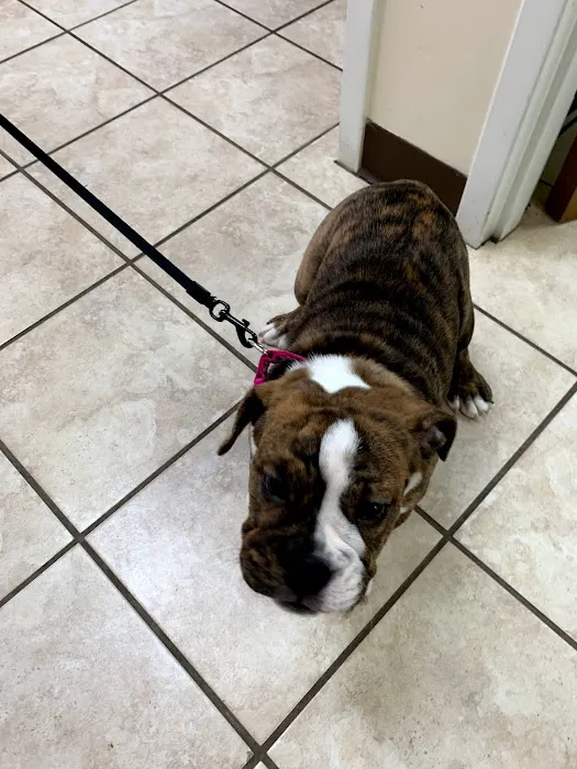 West Chester Veterinary Center Picture 2