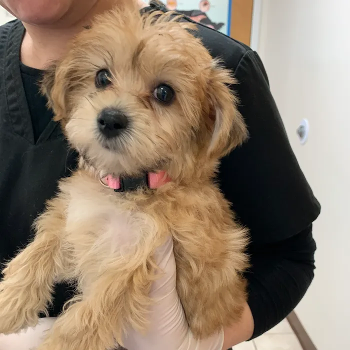 West Chester Veterinary Center Picture 4