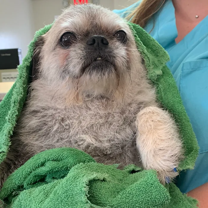 West Chester Veterinary Center Picture 5