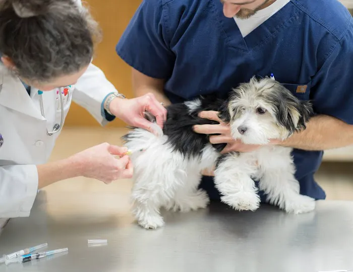 West Chester Veterinary Center Picture 8