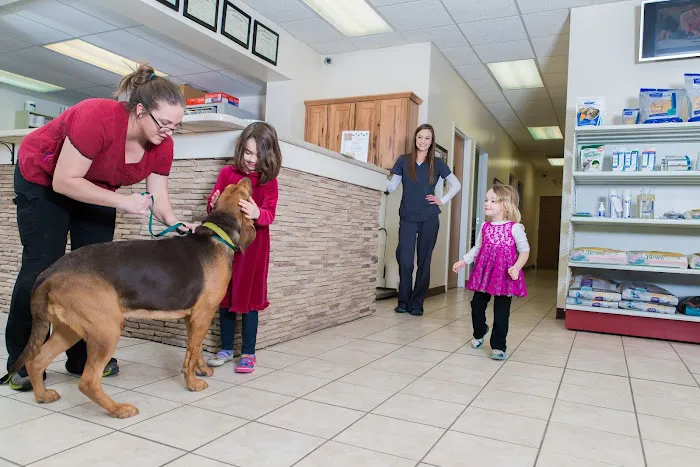 West Chester Veterinary Center Picture 9