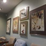 Cat Care Hospital
