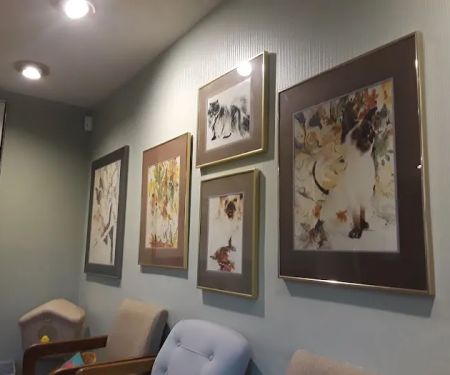 Cat Care Hospital