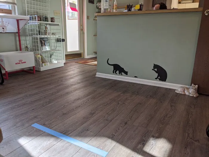 Cat Care Hospital Picture 6