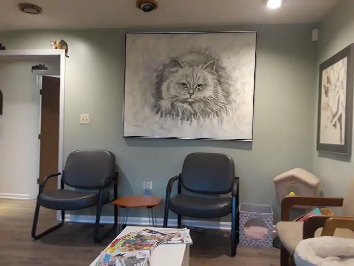Cat Care Hospital Picture 8