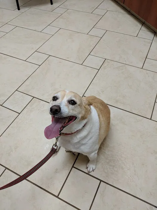 Pfister Animal Hospital Picture 1