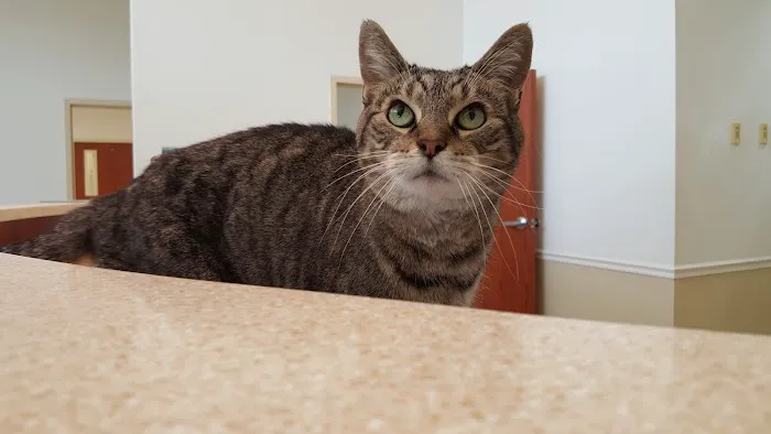 Pfister Animal Hospital Picture 2