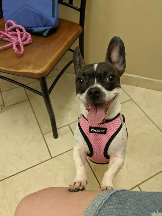 Pfister Animal Hospital Picture 8