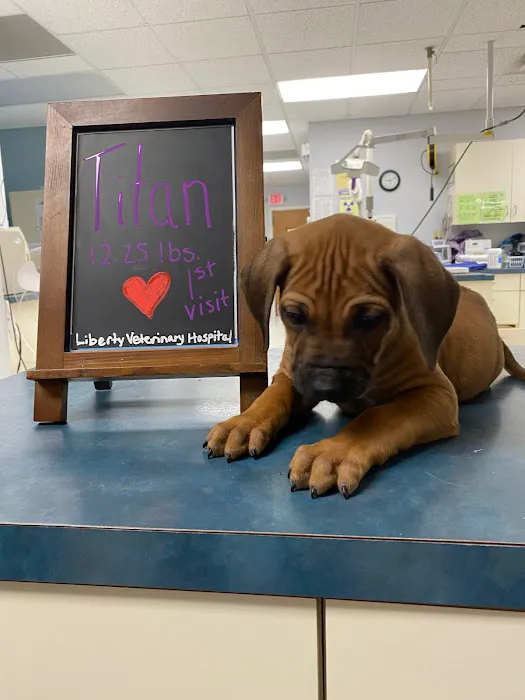 Liberty Veterinary Hospital Picture 6