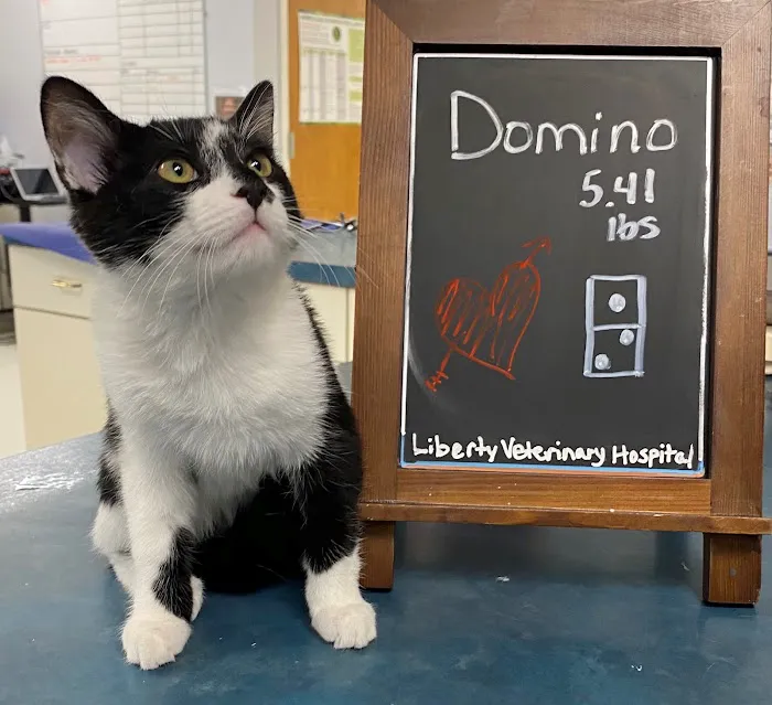 Liberty Veterinary Hospital Picture 9