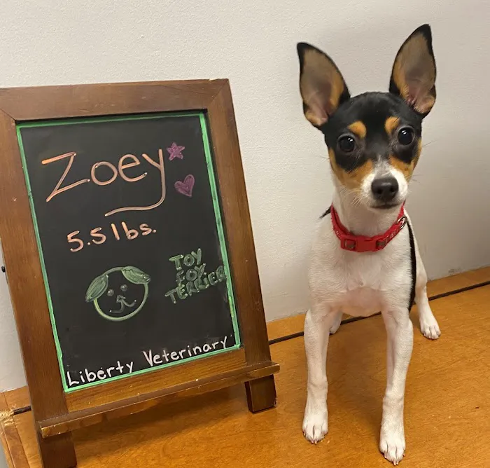 Liberty Veterinary Hospital Picture 8