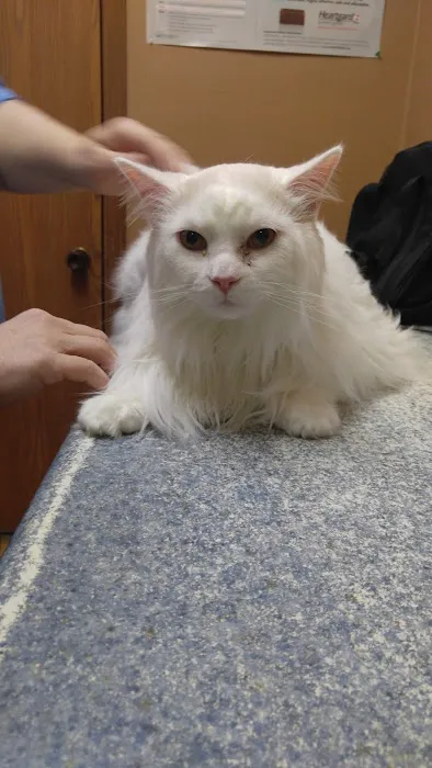 Rowan Veterinary Clinic Picture 2