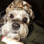 Derrickson Ralph E DGN DVM
