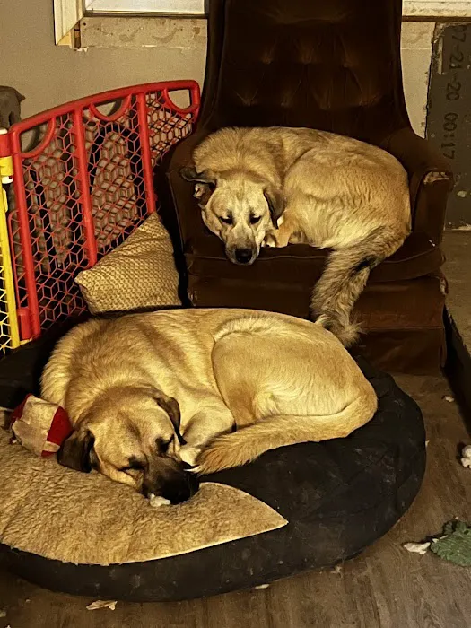 Friendtown Veterinary Clinic Picture 8