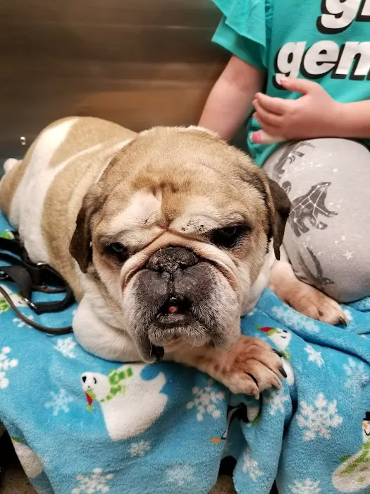 Northgate Animal Hospital Picture 7
