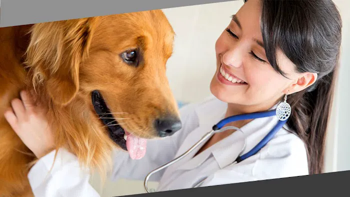 Upper Heights Veterinary Clinic Picture 3